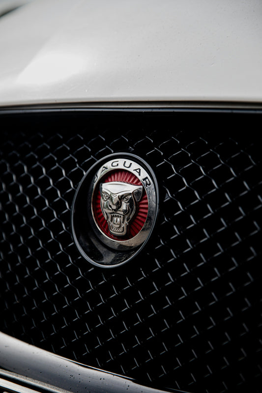 Jaguar rebrand
